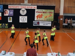 Obrázek v galerii