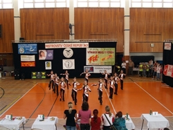 Obrázek v galerii