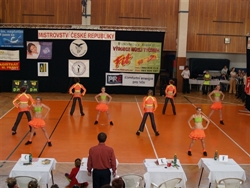 Obrázek v galerii