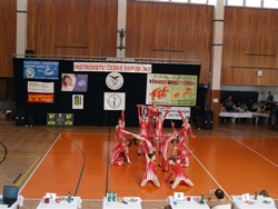 Obrázek v galerii