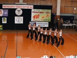 Obrázek v galerii
