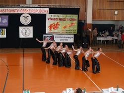 Obrázek v galerii