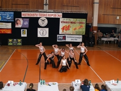 Obrázek v galerii
