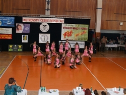 Obrázek v galerii