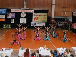 Obrázek v galerii