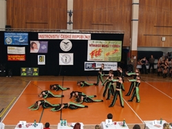 Obrázek v galerii