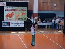 Obrázek v galerii