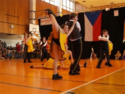 Obrázek v galerii