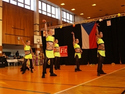 Obrázek v galerii
