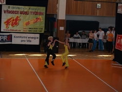 Obrázek v galerii