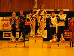 Obrázek v galerii