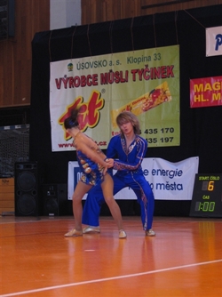 Obrázek v galerii