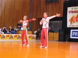 Obrázek v galerii