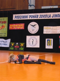 Obrázek v galerii