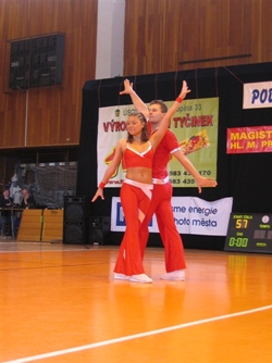 Obrázek v galerii