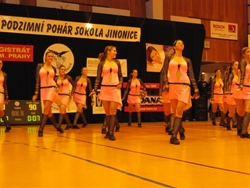 Obrázek v galerii