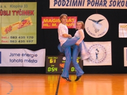 Obrázek v galerii