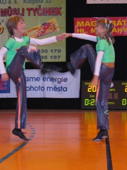 Obrázek v galerii
