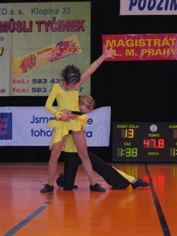 Obrázek v galerii