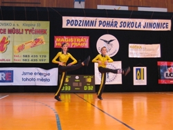 Obrázek v galerii