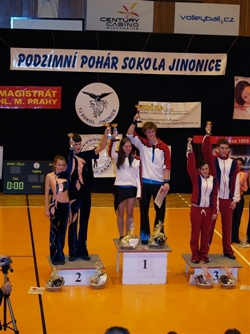 Obrázek v galerii
