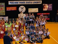 Obrázek v galerii