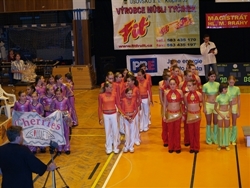 Obrázek v galerii
