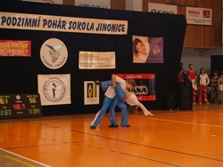 Obrázek v galerii