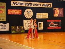Obrázek v galerii