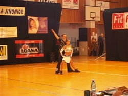Obrázek v galerii