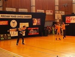 Obrázek v galerii