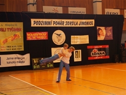 Obrázek v galerii