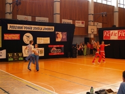 Obrázek v galerii