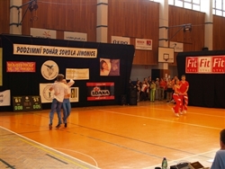 Obrázek v galerii