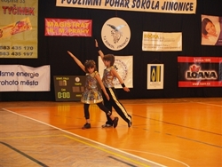 Obrázek v galerii