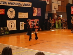 Obrázek v galerii