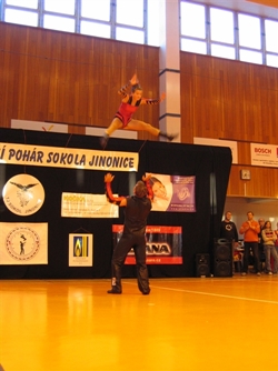 Obrázek v galerii