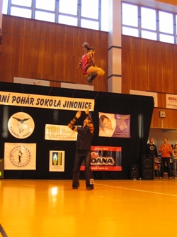 Obrázek v galerii