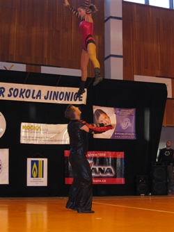 Obrázek v galerii