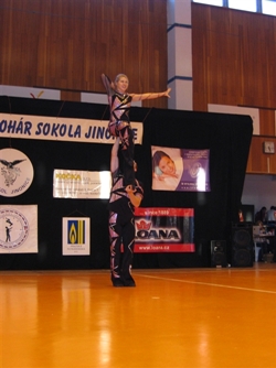 Obrázek v galerii