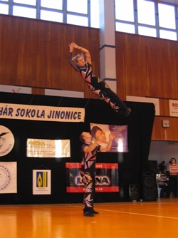 Obrázek v galerii
