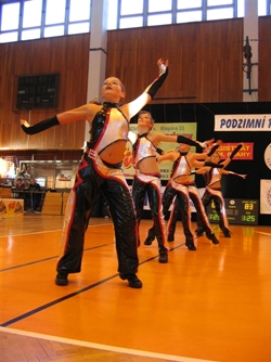 Obrázek v galerii