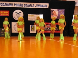 Obrázek v galerii