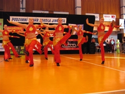 Obrázek v galerii