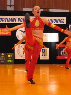 Obrázek v galerii