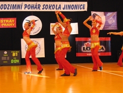 Obrázek v galerii