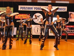 Obrázek v galerii