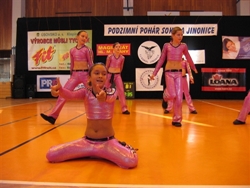 Obrázek v galerii