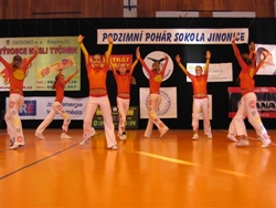 Obrázek v galerii