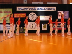 Obrázek v galerii